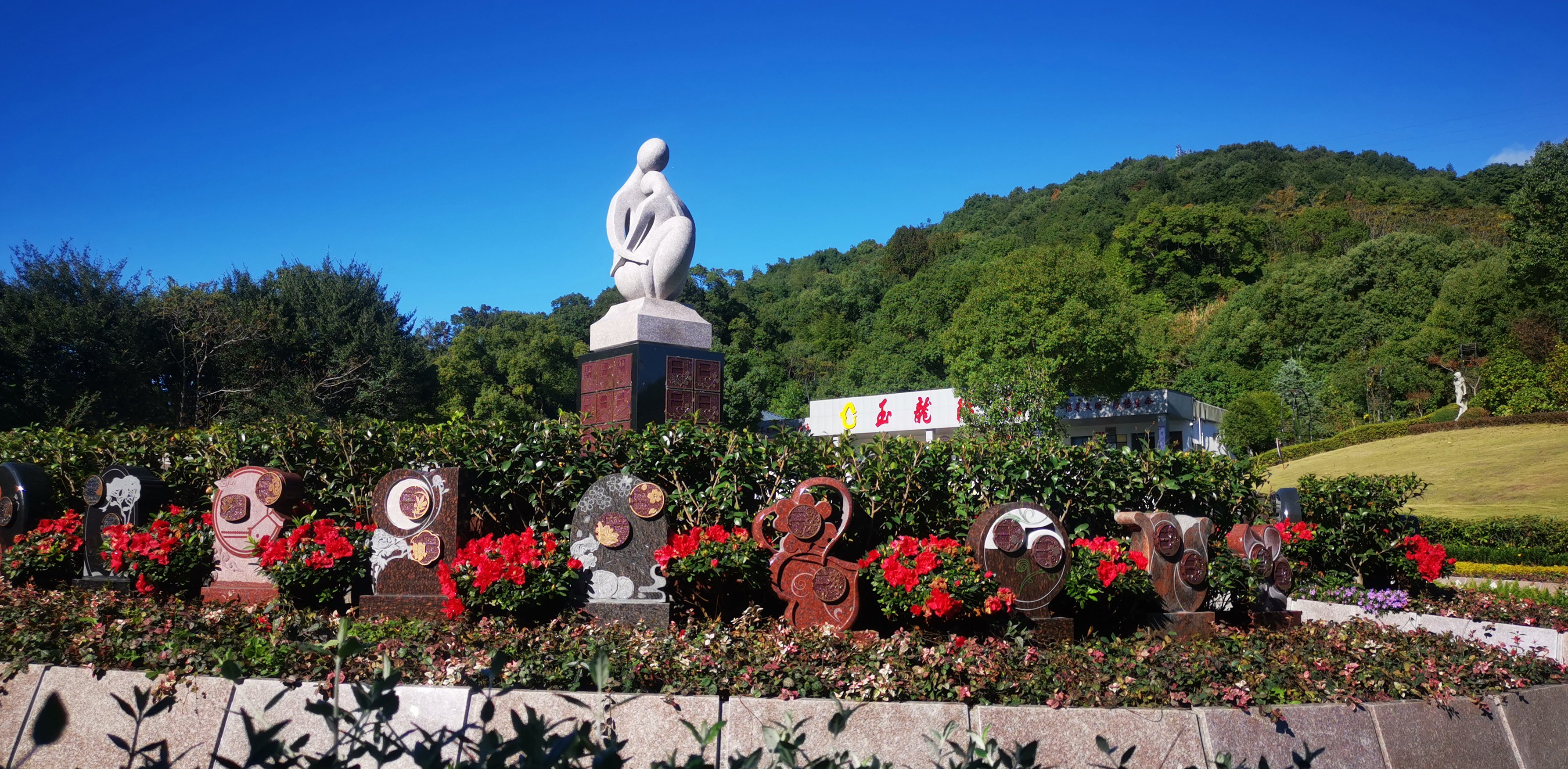 未来，，生态葬或将成为主流