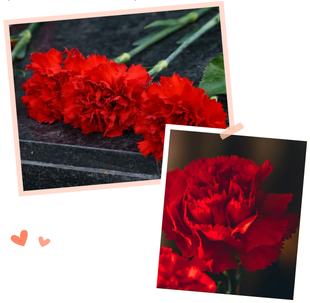 008PG国际(中国区)-官方网站