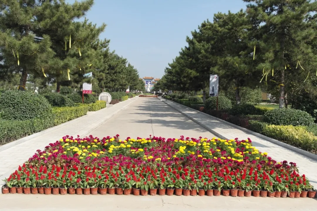 008PG国际(中国区)-官方网站