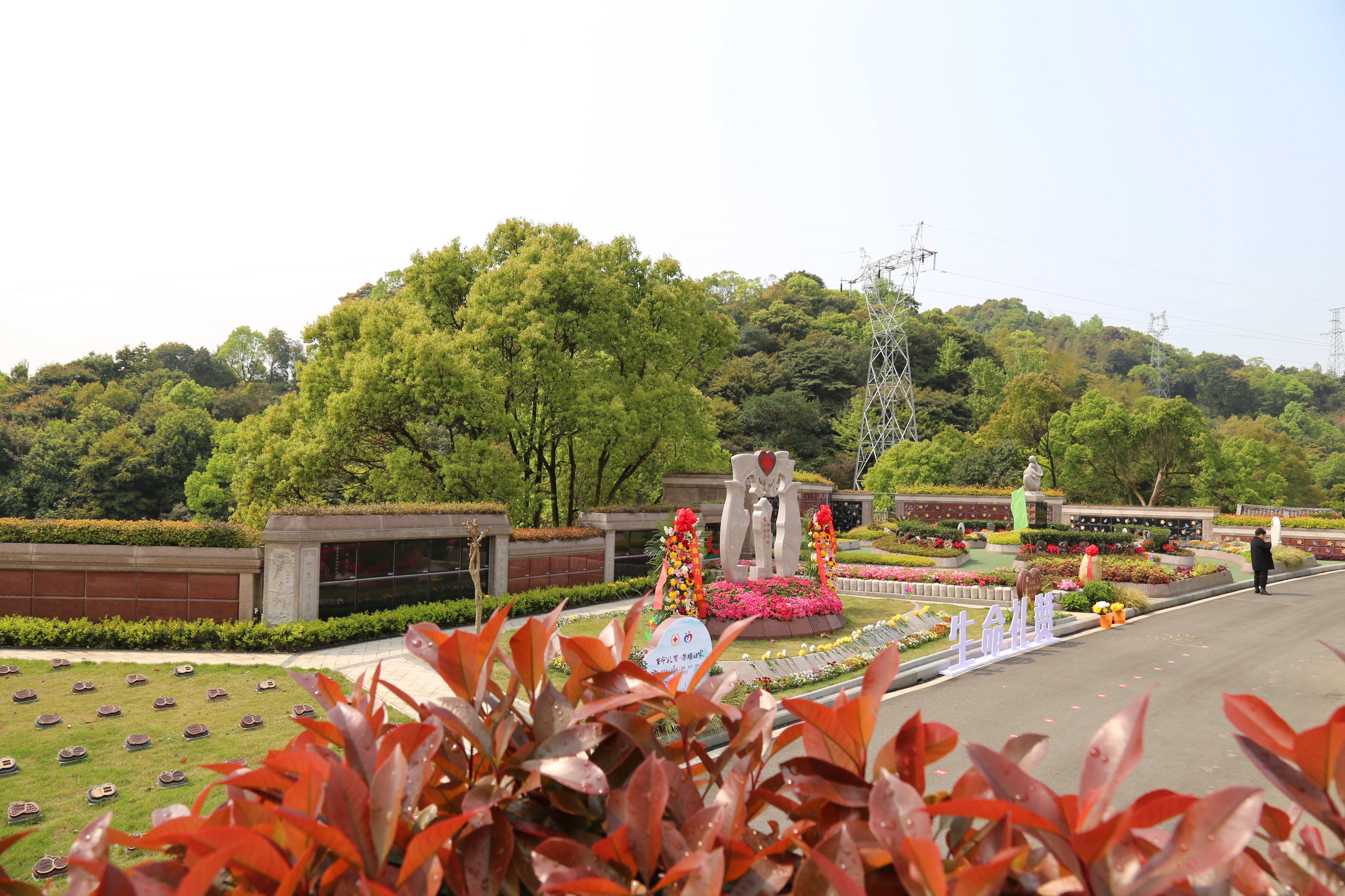 008PG国际(中国区)-官方网站