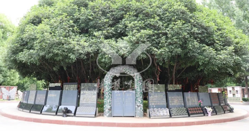 008PG国际(中国区)-官方网站