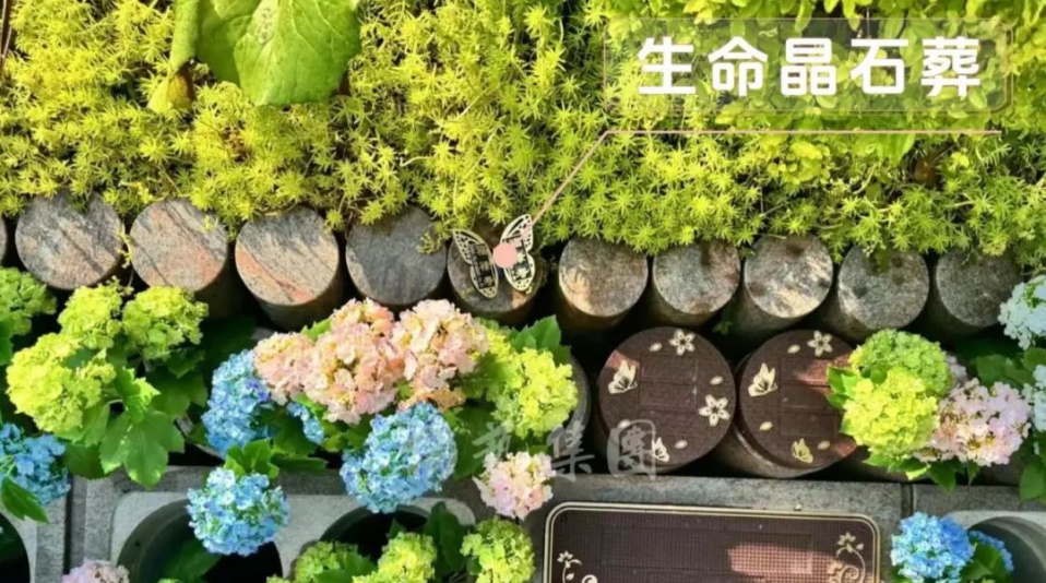 008PG国际(中国区)-官方网站