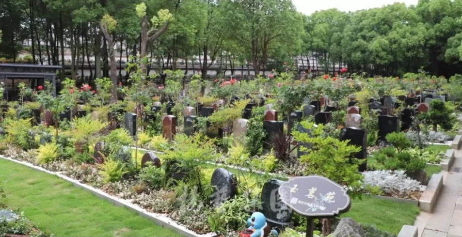 008PG国际(中国区)-官方网站