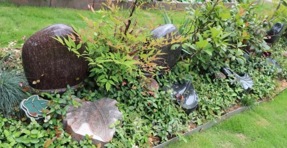 008PG国际(中国区)-官方网站