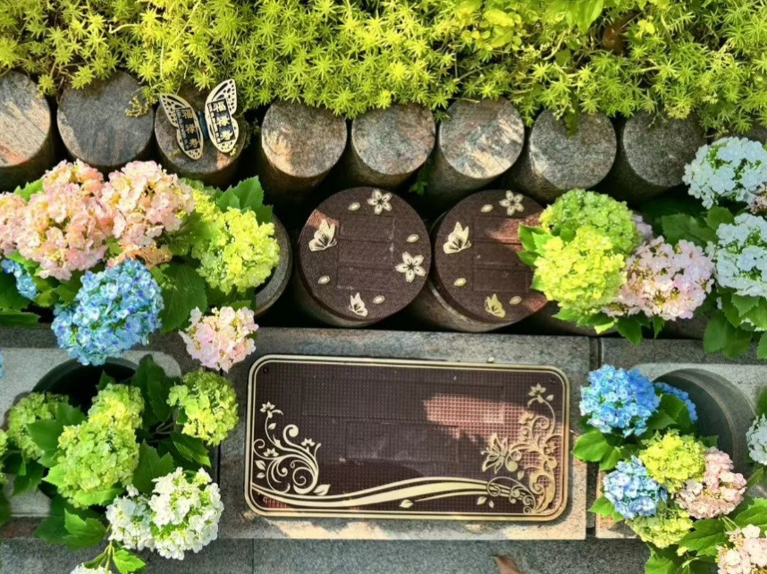 008PG国际(中国区)-官方网站