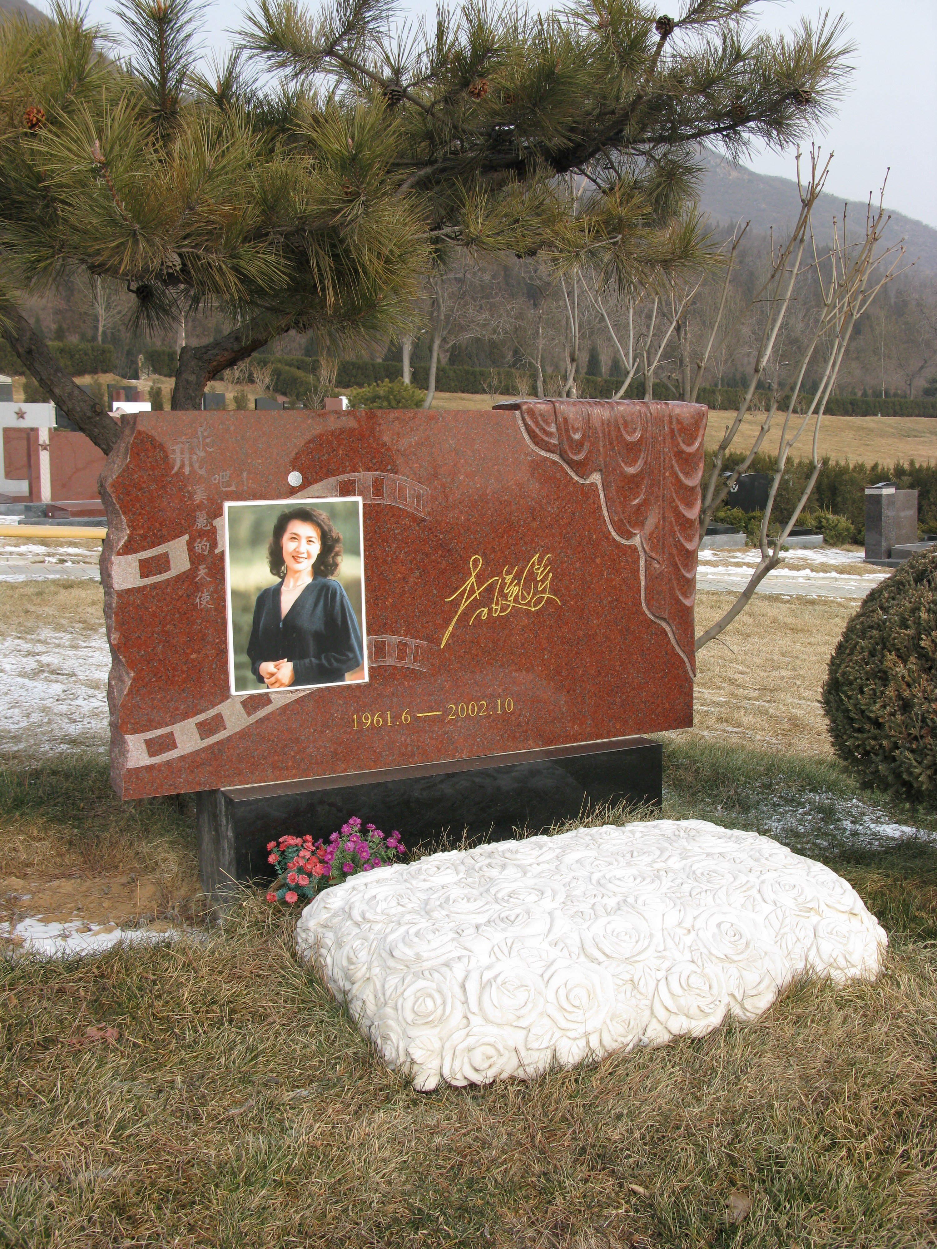 008PG国际(中国区)-官方网站