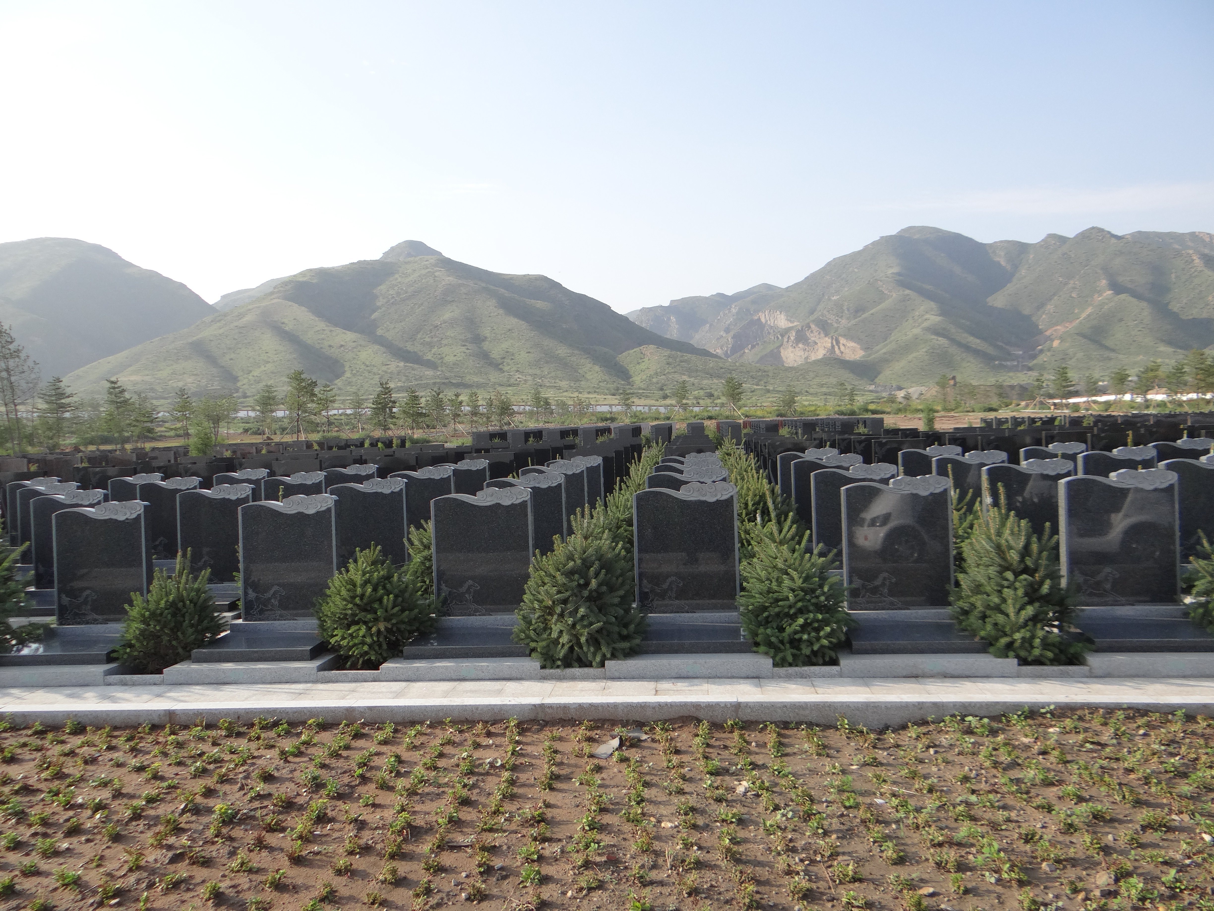 008PG国际(中国区)-官方网站