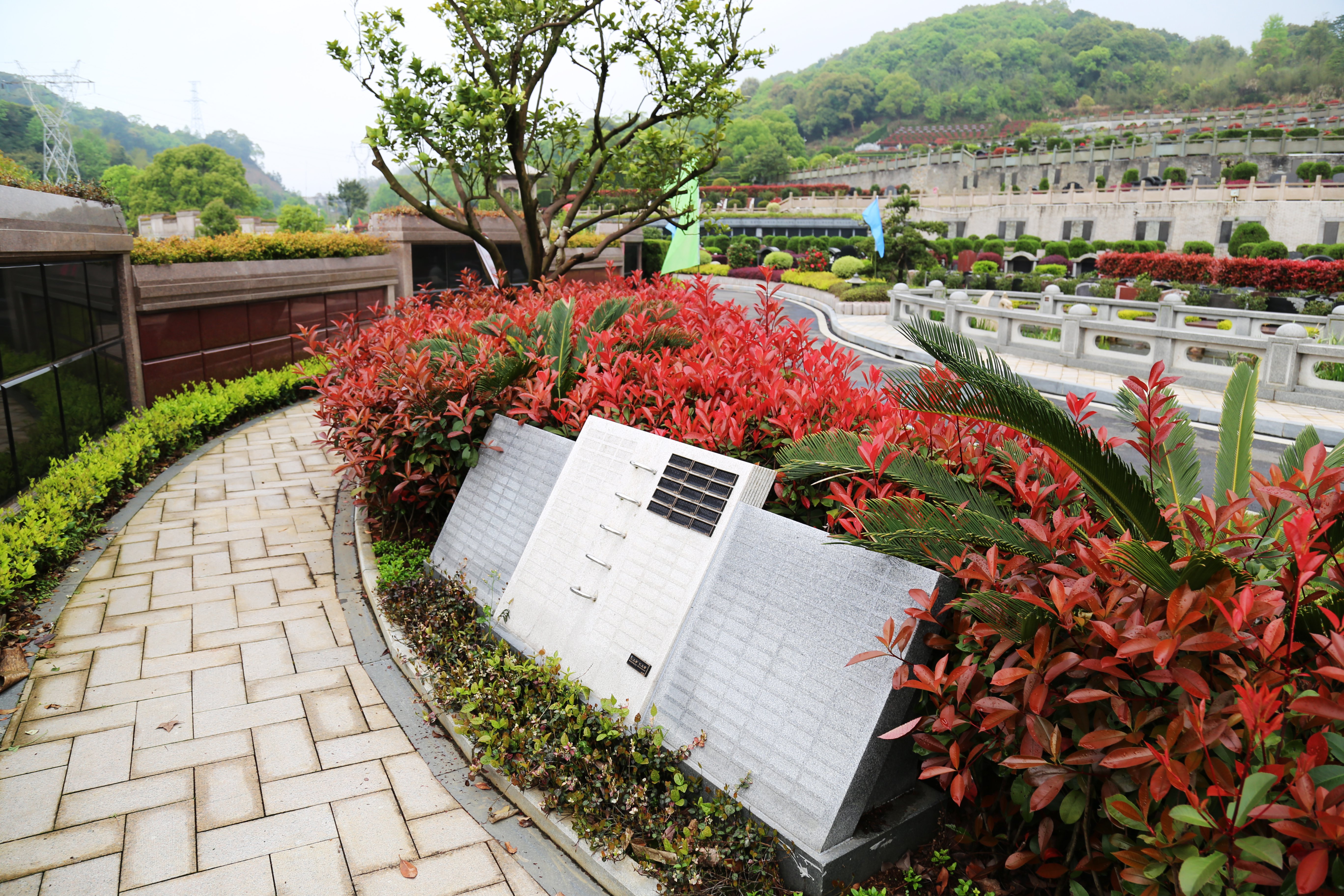 008PG国际(中国区)-官方网站