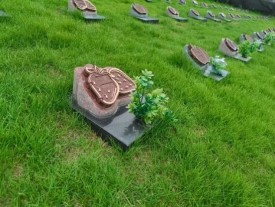 008PG国际(中国区)-官方网站