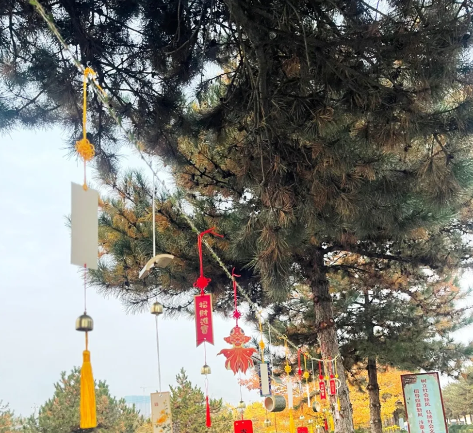 008PG国际(中国区)-官方网站