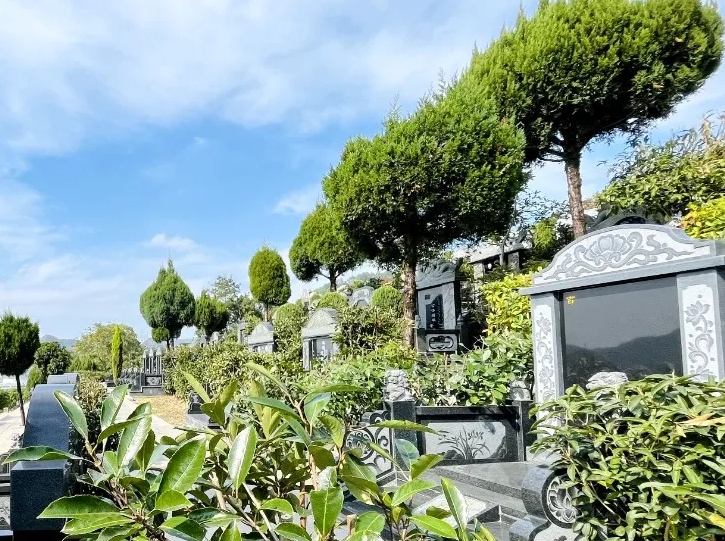 008PG国际(中国区)-官方网站