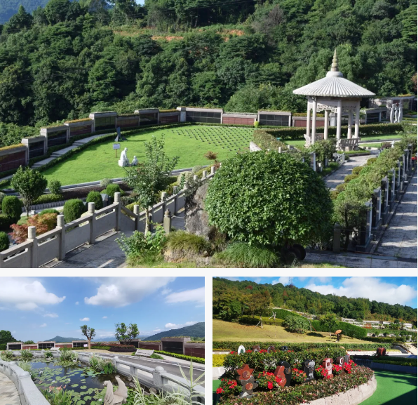 008PG国际(中国区)-官方网站