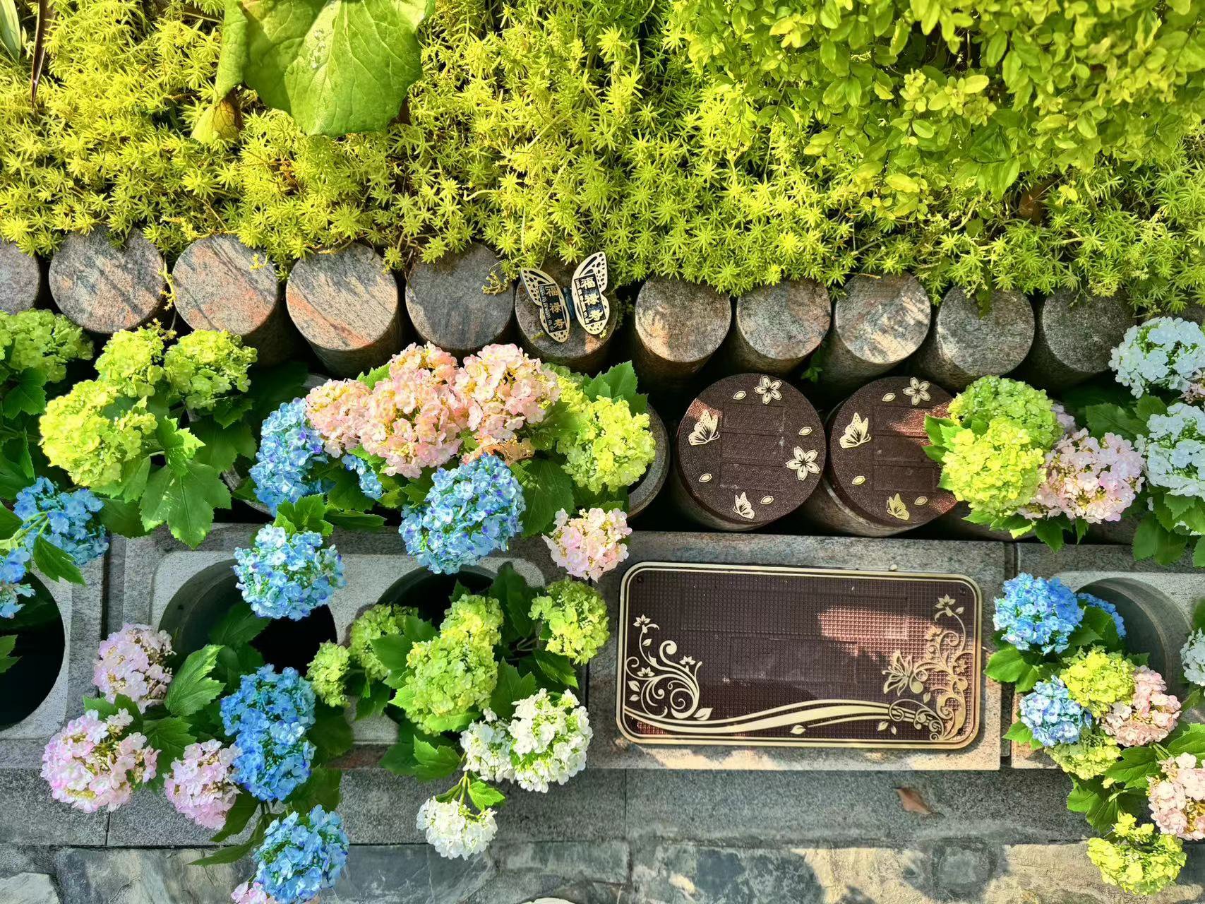 008PG国际(中国区)-官方网站