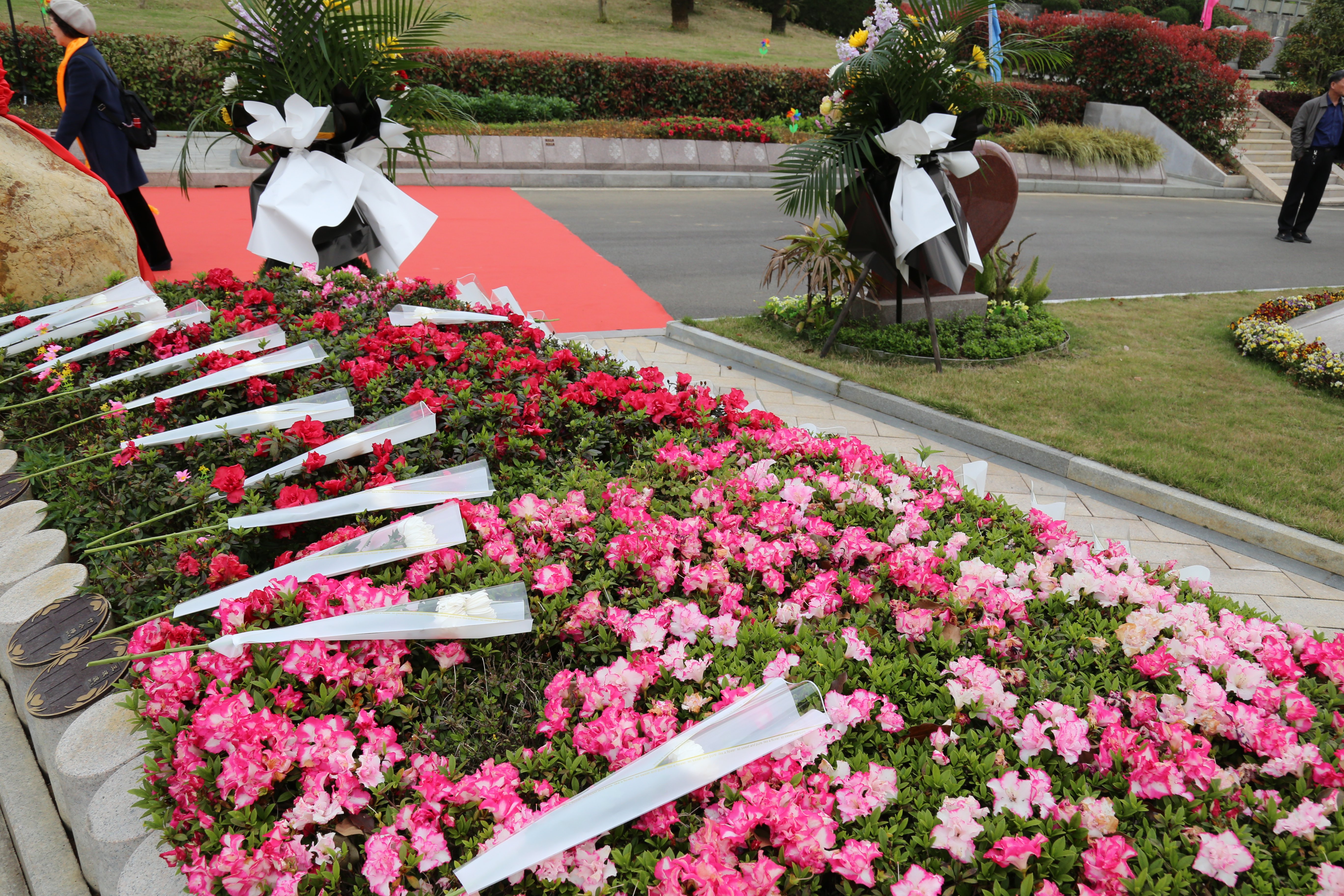 008PG国际(中国区)-官方网站