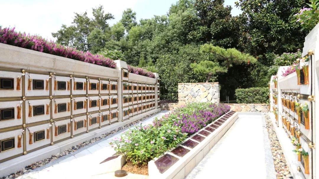 <b>在合肥大蜀山文化陵园，，，与生命温柔对话</b>