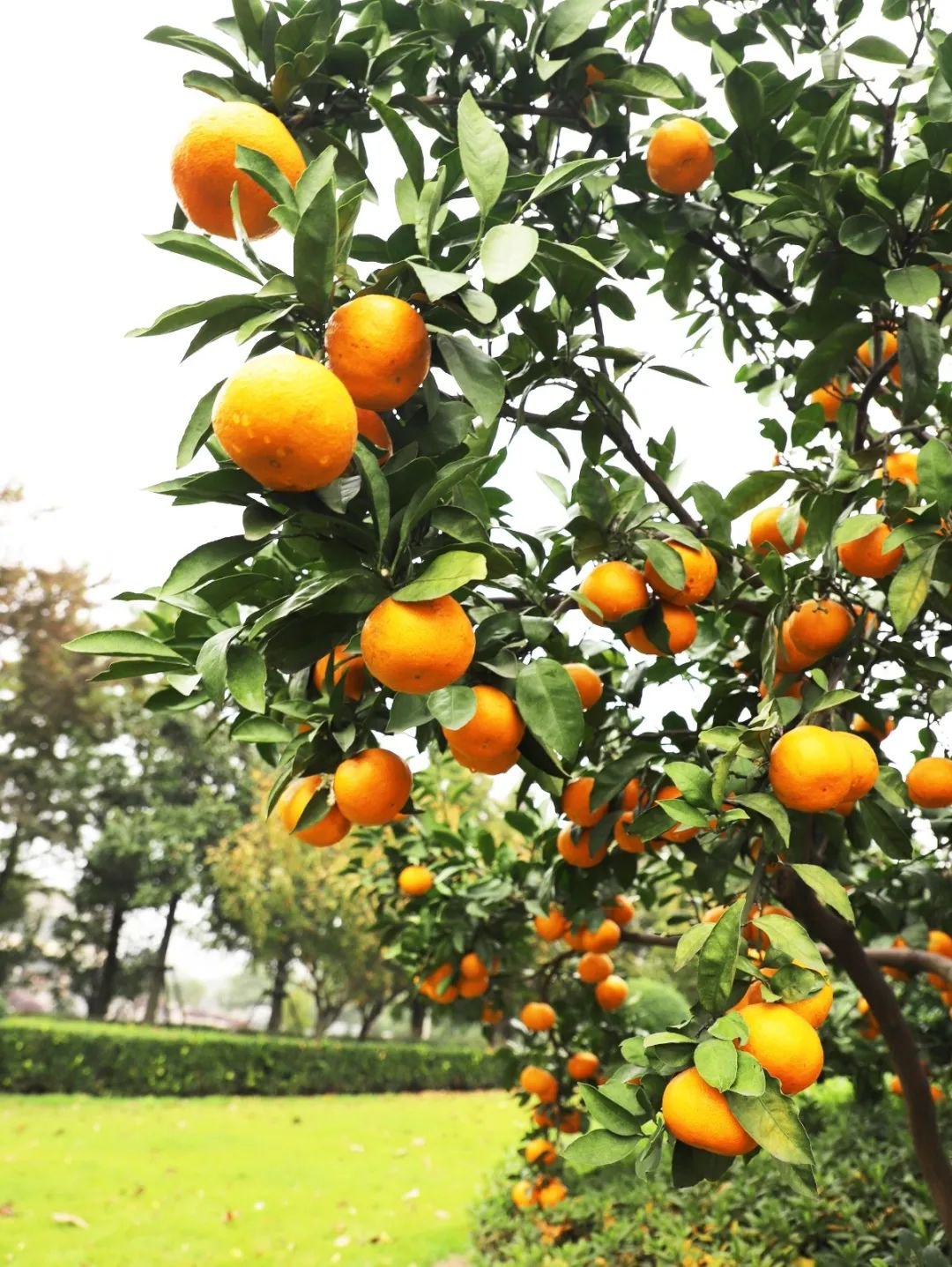 008PG国际(中国区)-官方网站