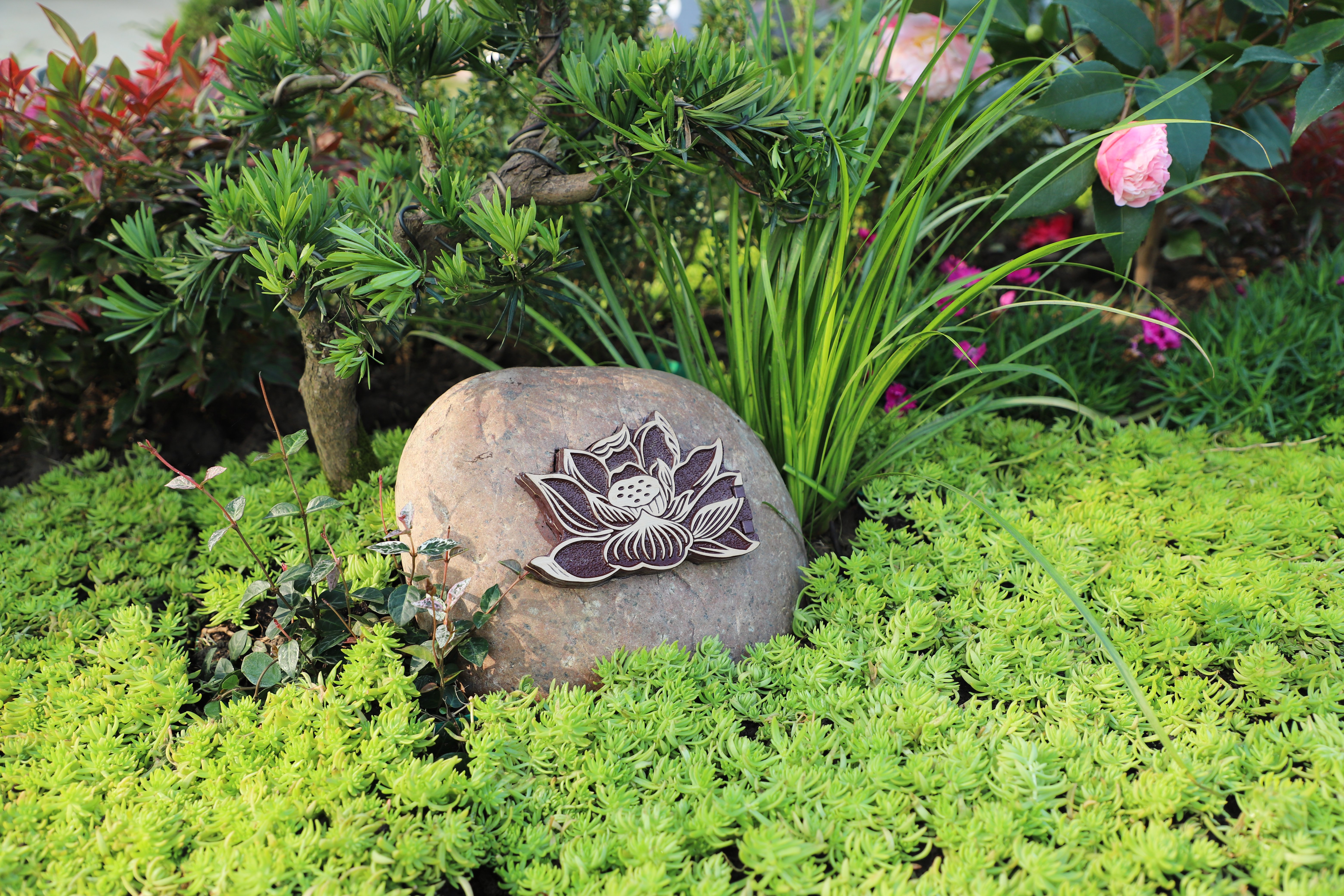 008PG国际(中国区)-官方网站