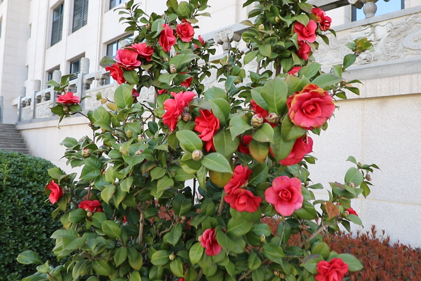 008PG国际(中国区)-官方网站