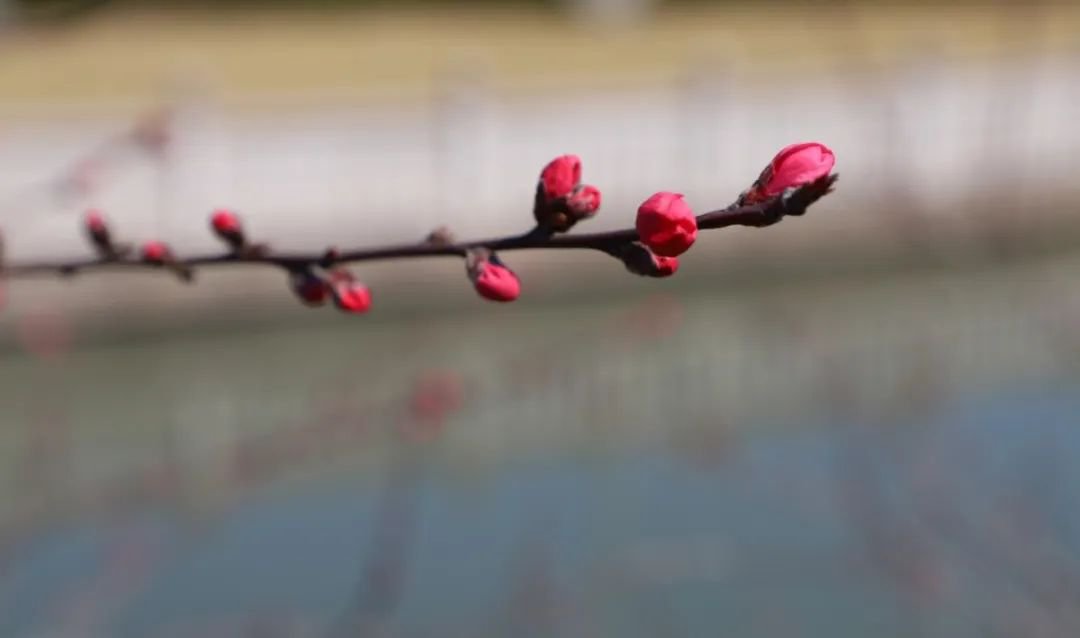 008PG国际(中国区)-官方网站