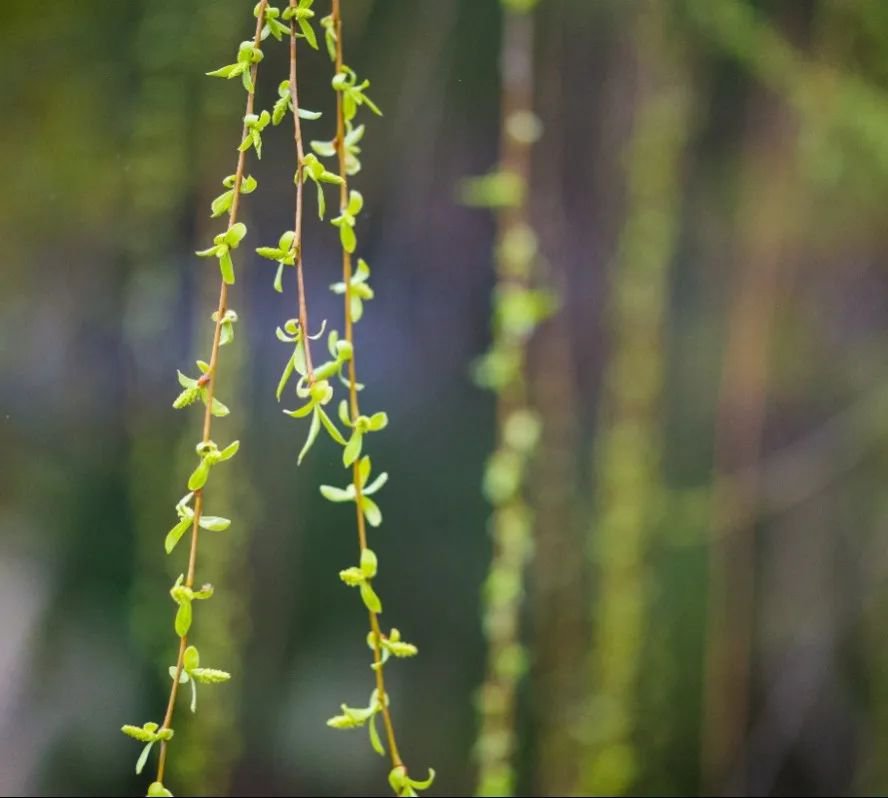 008PG国际(中国区)-官方网站