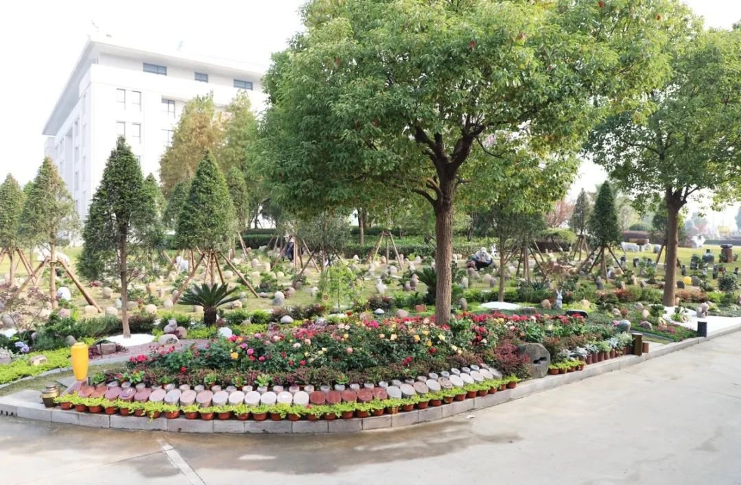 008PG国际(中国区)-官方网站