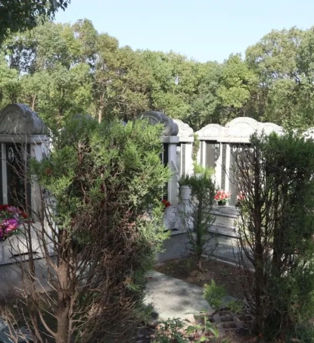 008PG国际(中国区)-官方网站