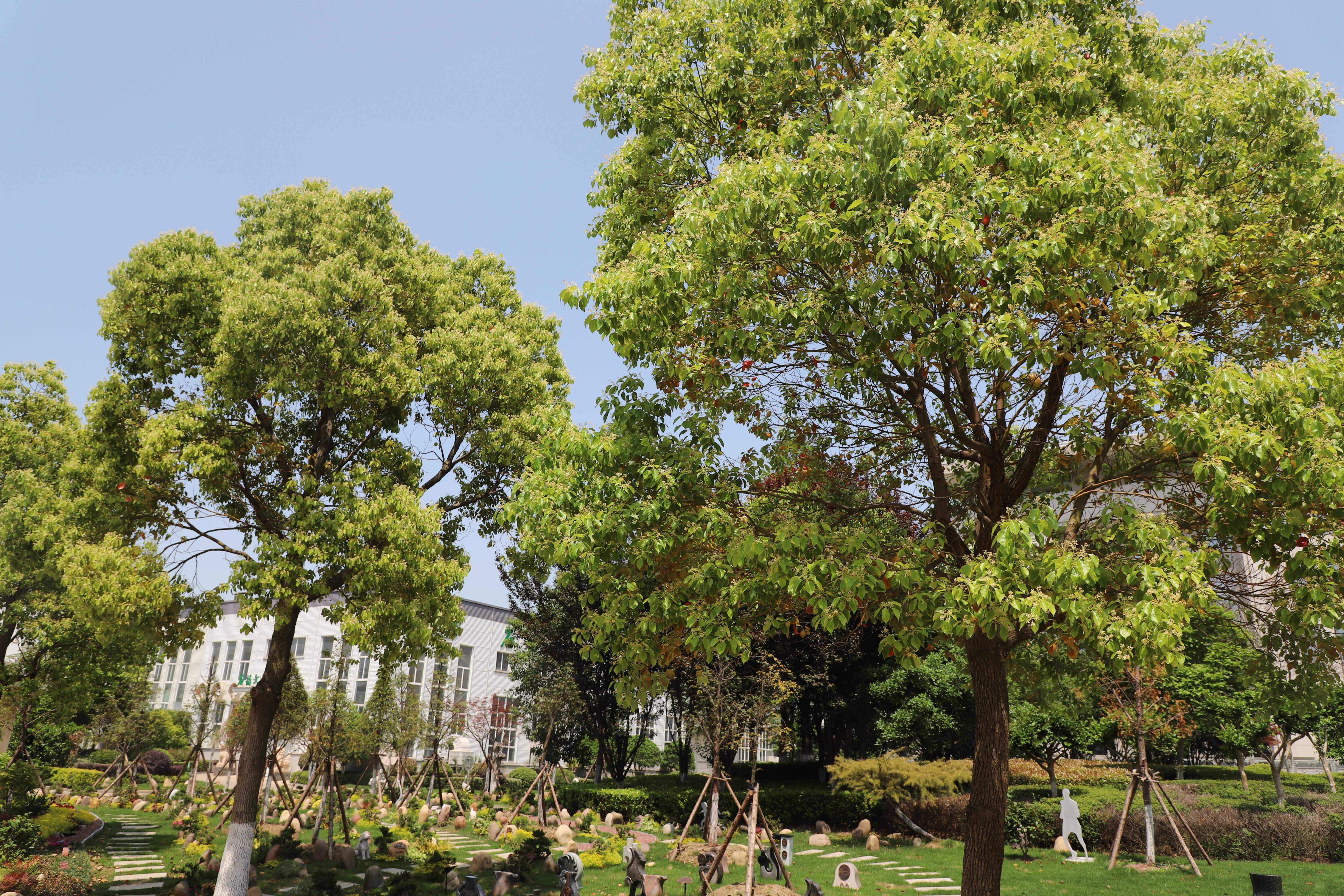 008PG国际(中国区)-官方网站