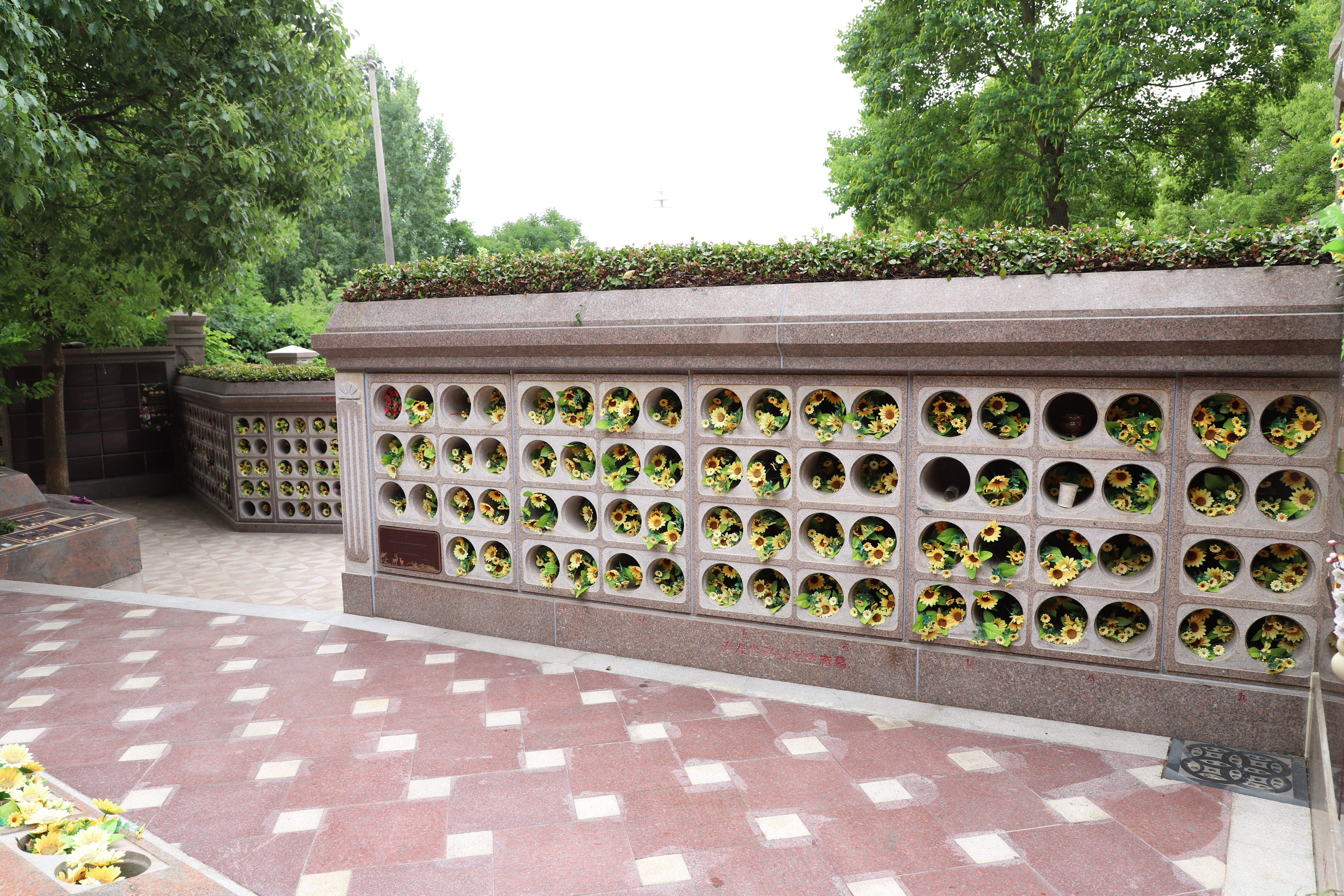 008PG国际(中国区)-官方网站