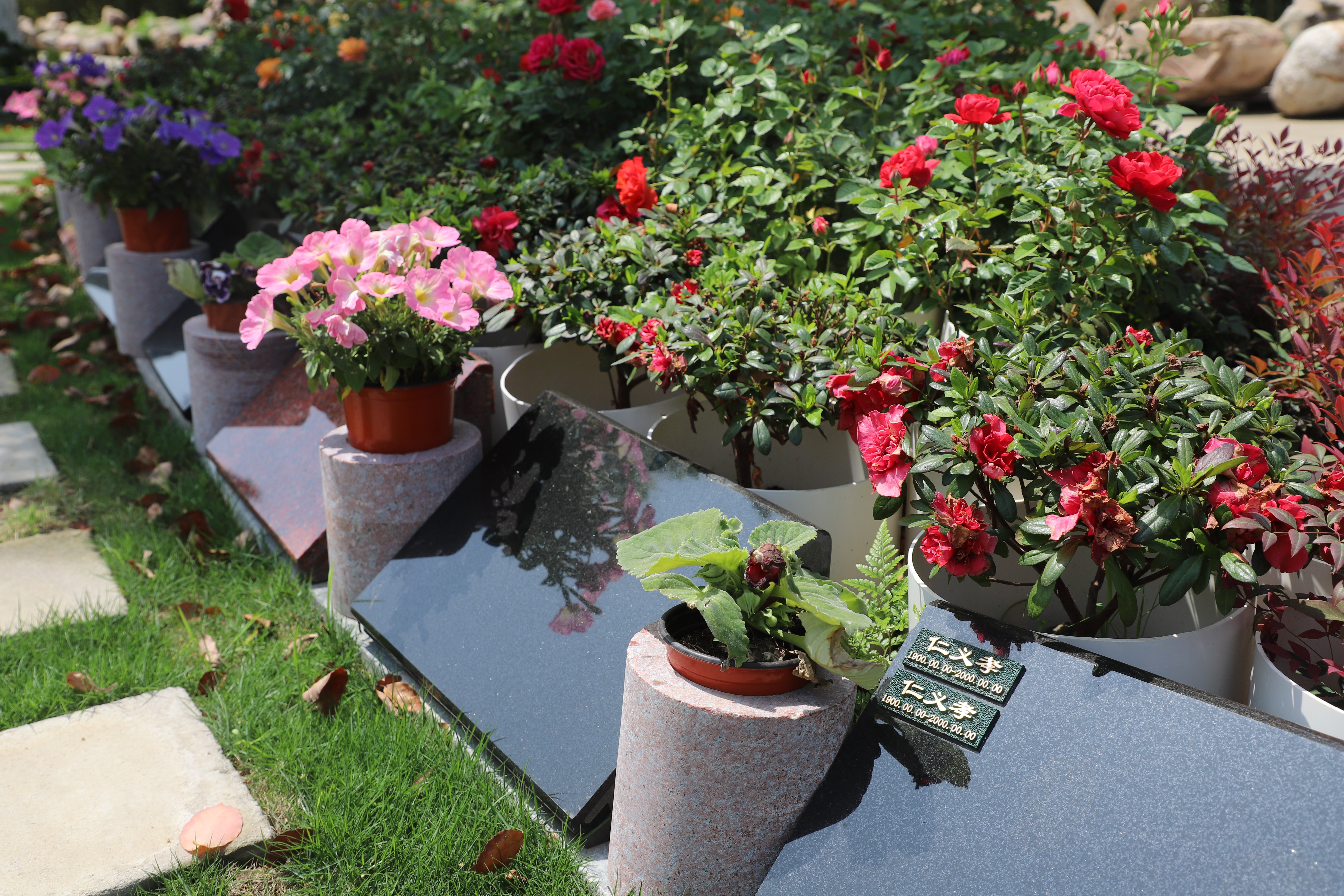 008PG国际(中国区)-官方网站