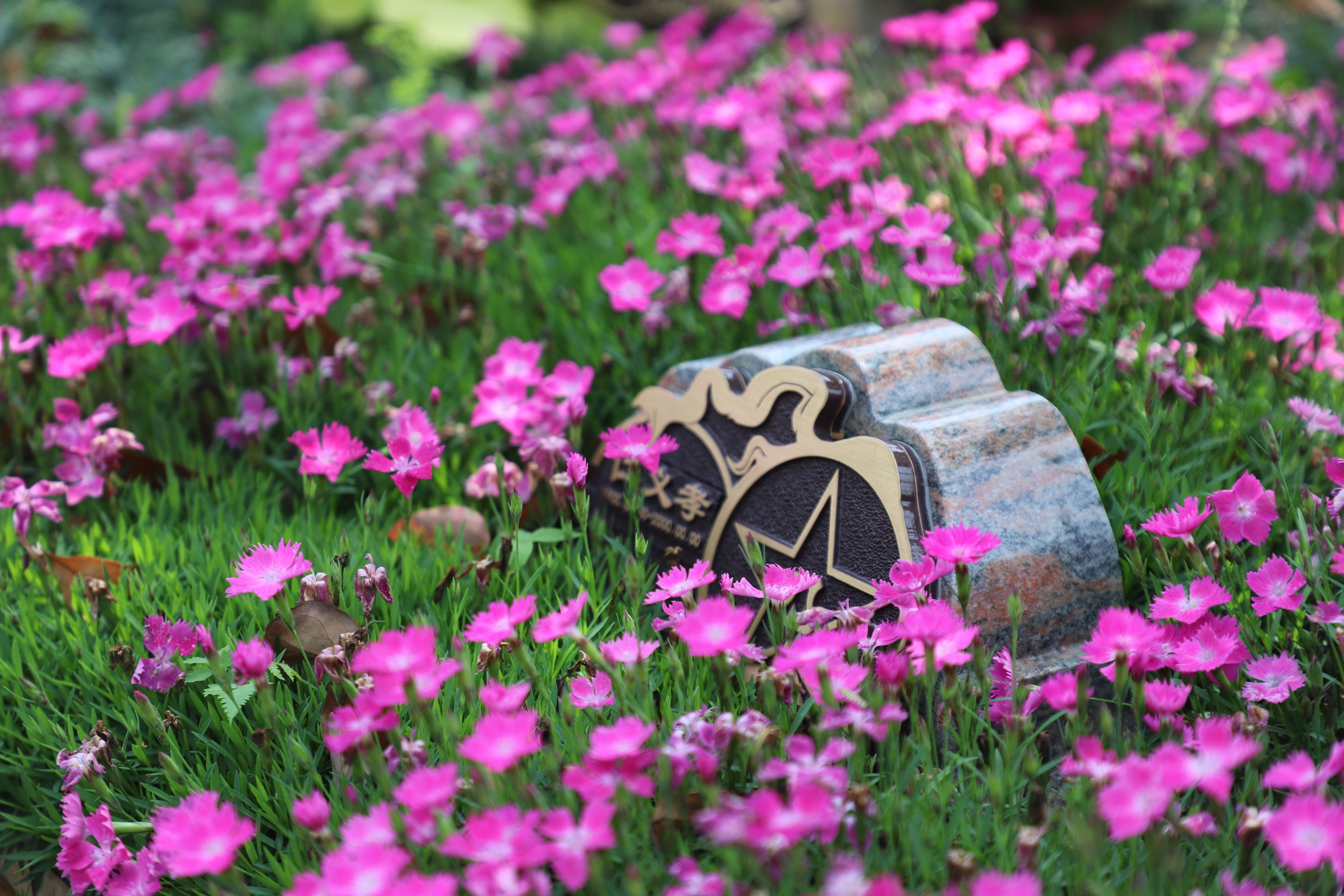 008PG国际(中国区)-官方网站