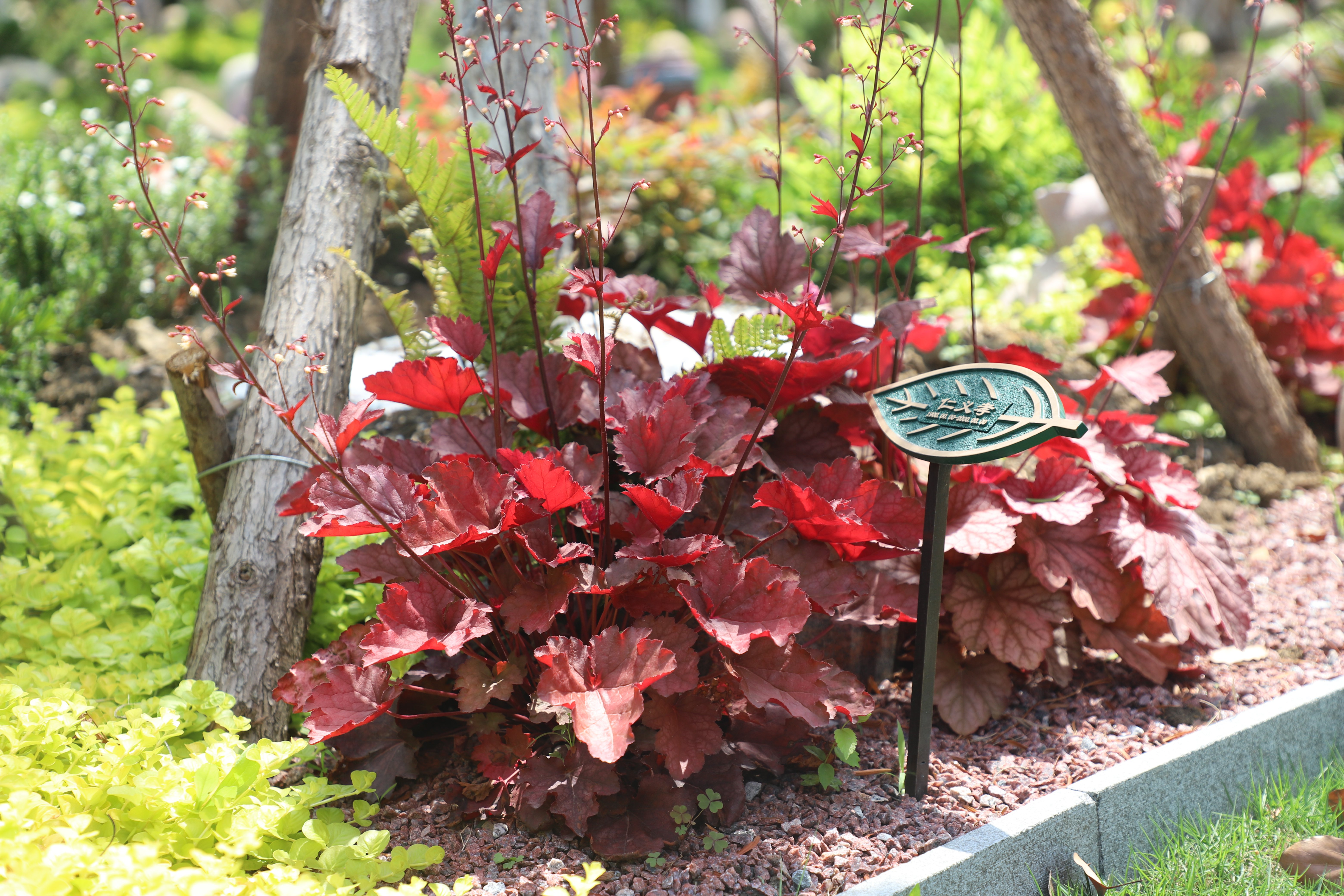 008PG国际(中国区)-官方网站