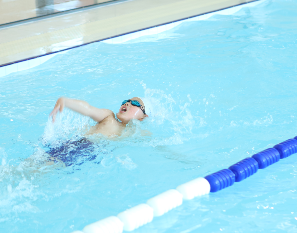 008PG国际(中国区)-官方网站