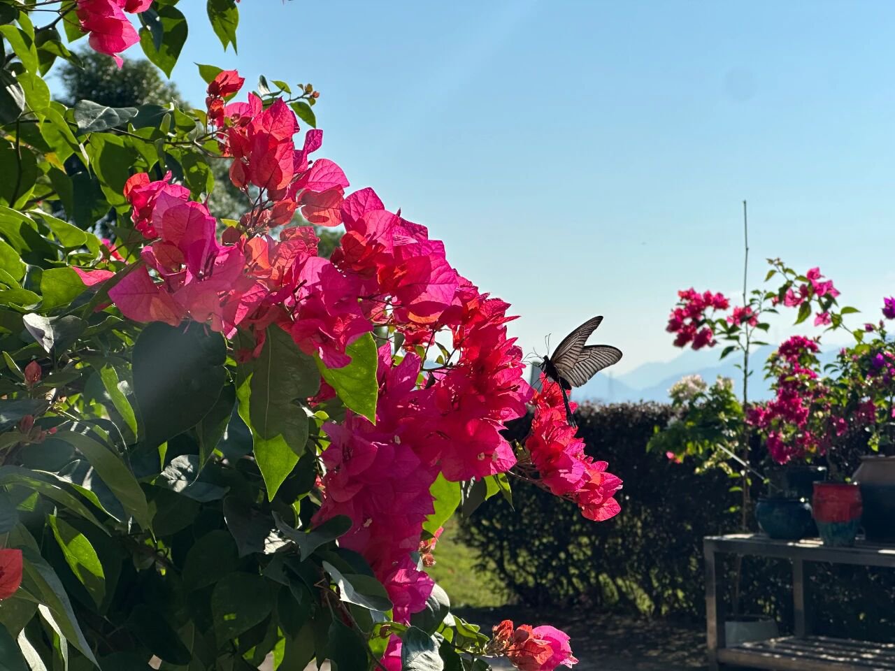 008PG国际(中国区)-官方网站